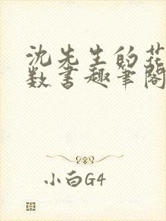 沈先生的花式调数书趣笔阁