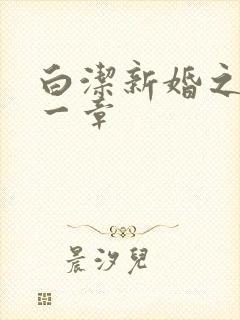 白洁新婚之夜第一章