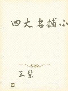 四大名捕小说