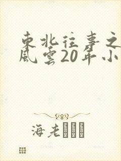 东北往事之黑道风云20年小说