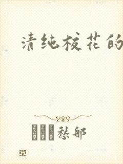 清纯校花的被