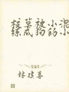 校草被小混混训练成狗的小说