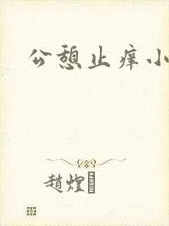 公憩止痒小说