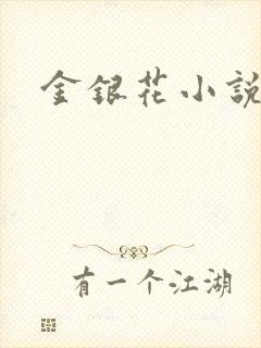 金银花小说乐可