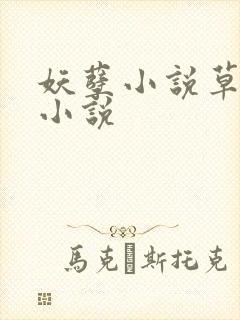 妖孽小说草莓酱小说