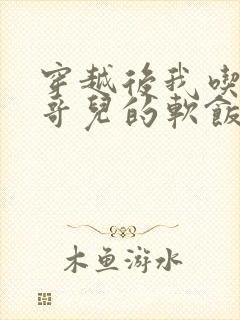 穿越后我吃到了哥儿的软饭炉山灰