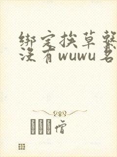 绑定挨草系统后没有wuwu名字