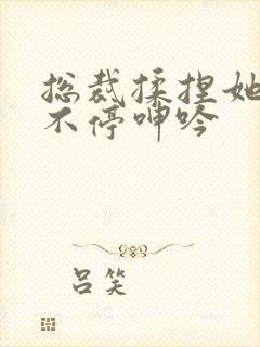 总裁揉捏她两乳不停呻吟