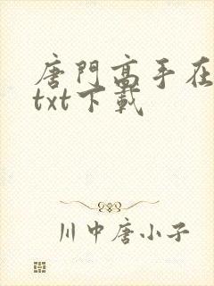 唐门高手在异世txt下载