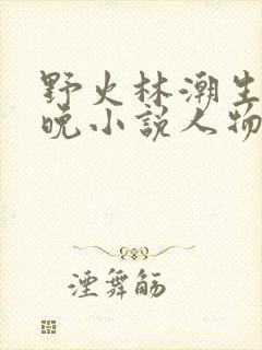 野火林潮生林晚晚小说人物野火