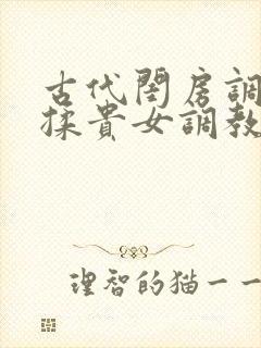 古代闺房调教h揉贵女调教记