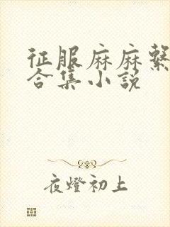 征服麻麻系列大合集小说