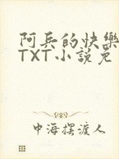 阿兵的快乐生活TXT小说免费阅读全章