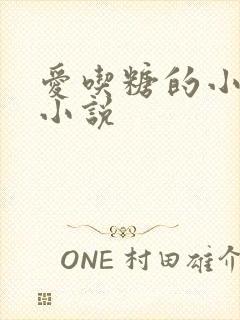 爱吃糖的小麻雀小说