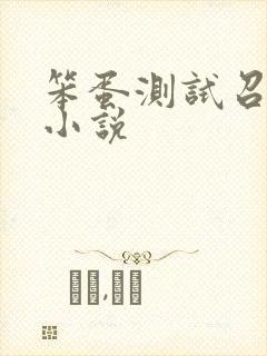 笨蛋测试召唤兽小说