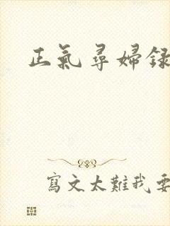 正气寻妇录