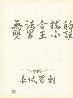 无法合拢的总裁双男主小说