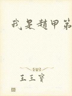 我是赵甲第小说