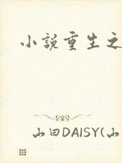 小说重生之官道