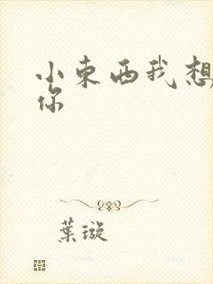 小东西我想弄坏你