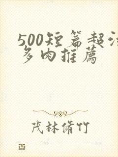 500短篇超污多肉推荐