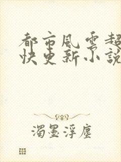 都市风云超前超快更新小说