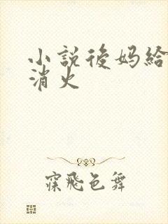 小说后妈给我消消火