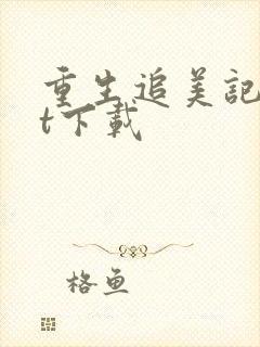 重生追美记txt下载