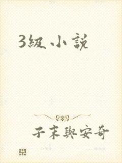 3级小说