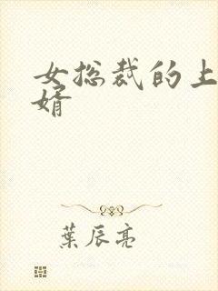 女总裁的上门女婿