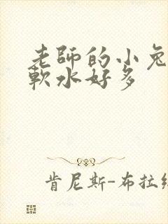 老师的小兔子好软水好多