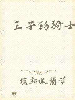王子的骑士小说