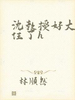 沈教授好大含不住了h