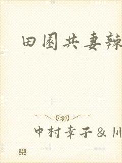 田园共妻辣