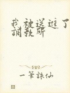 我被送进了私奴调教所