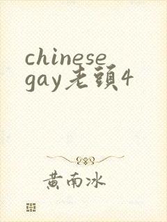 chinesegay老头4