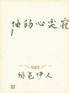 他的心尖宠1v1