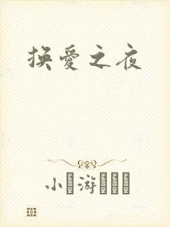 换爱之夜