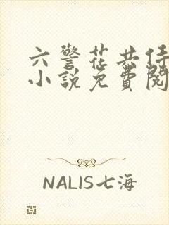 六警花共侍一夫小说免费阅读