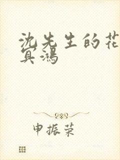 沈先生的花式调冥鸿