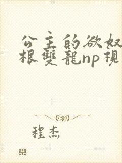 公主的欲奴h四根双龙np视频