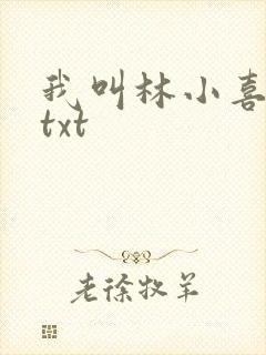 我叫林小喜小说txt