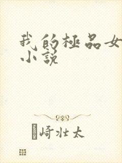 我的极品女老师小说