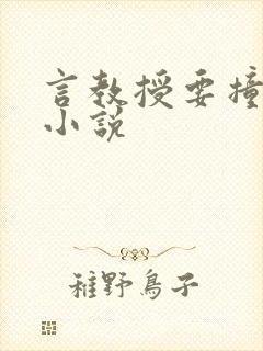 言教授要撞坏了小说