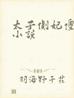 太子侧妃傻乎乎小说