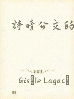 诗晴公交的小说