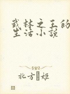 武林之王的退隐生活小说