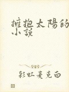 拥抱太阳的月亮小说