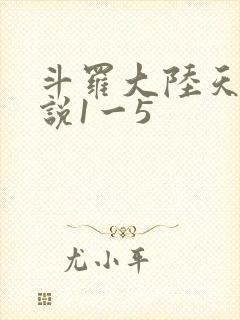 斗罗大陆天狂传说1一5