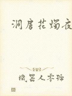 洞房花烛夜小说